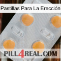 Pastillas Para La Erección 24